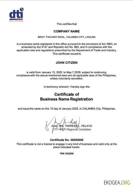 Certificat d'enregistrement du nom commercial des Philippines Calamba Modèle Word et PDF